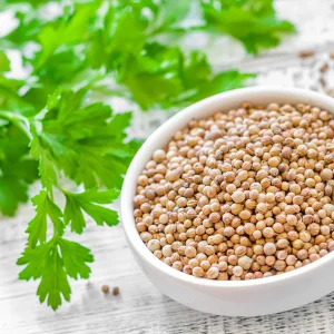 Coriander Seeds 5oz